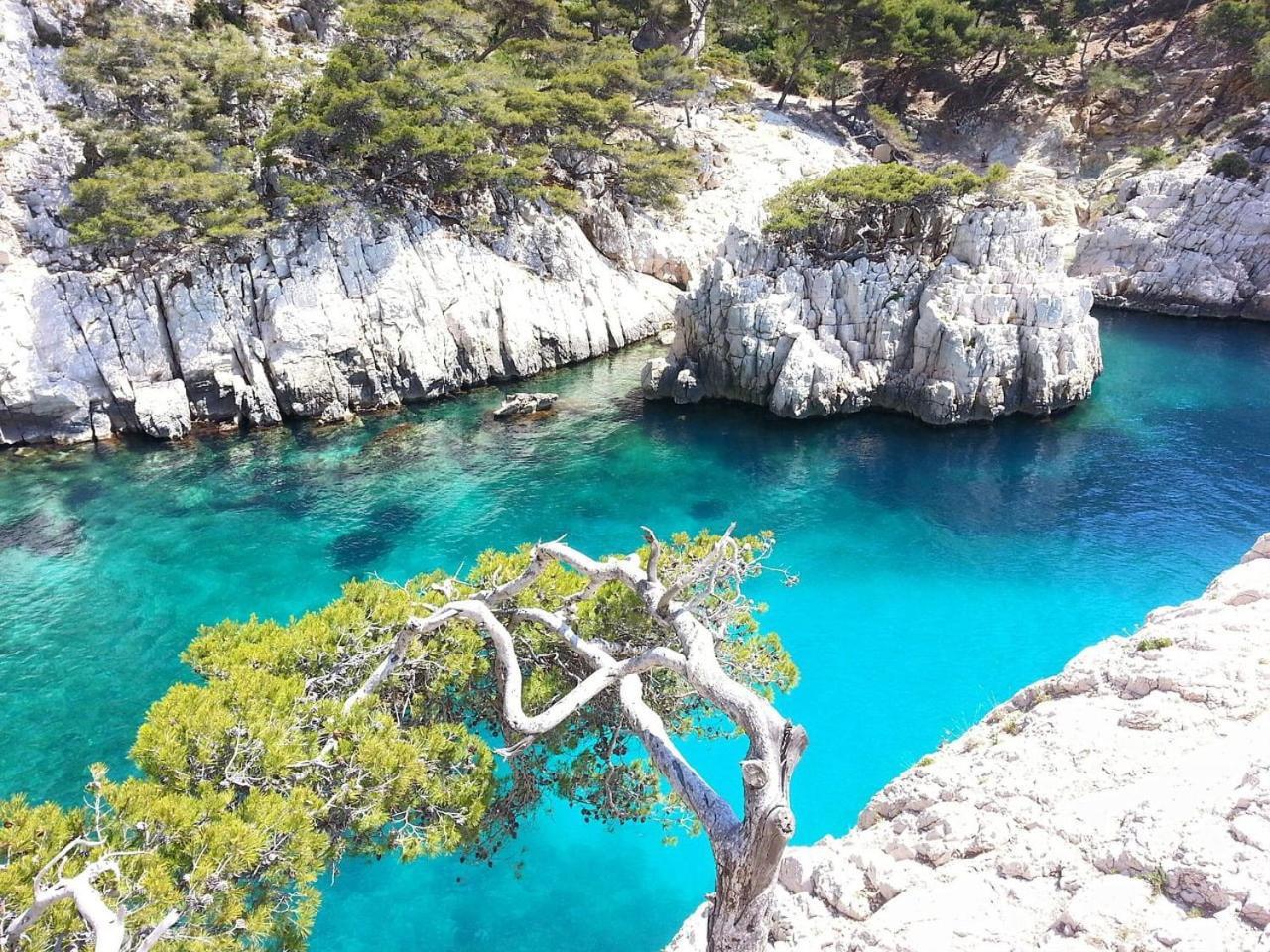 Villa Mathaia Cassis Roquefort-la-Bedoule Εξωτερικό φωτογραφία